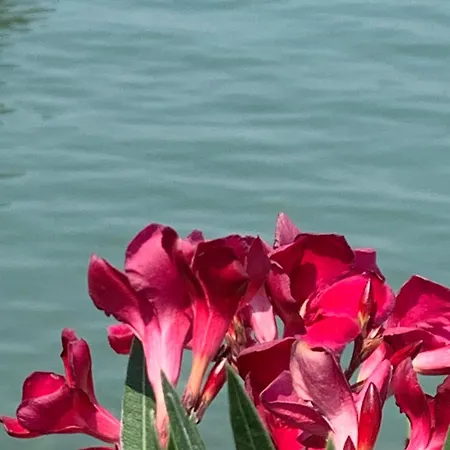 בית נופש Retro Balatonvilagos שיופוק